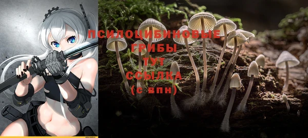 соль ск Алзамай