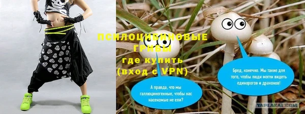 экстази Алексин
