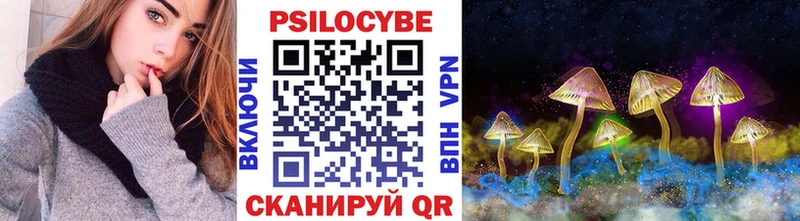 Купить  Кондопога  Псилоцибиновые грибы MAGIC MUSHROOMS 
