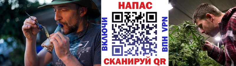 Канабис индика  Купить где  Кондопога 